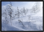 Zima, Wzgórze, Śnieżna, Zadymka