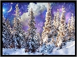 Zima, Śnieg, Las, Świerki, Noc, Księżyc