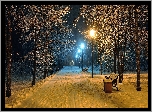 Zima, Park, Ławki, Latarnie, Ośnieżone, Drzewa
