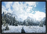 Zima, Góry, Canadian Rockies, Drzewa, Droga, Chmury, Park Narodowy Yoho, Kolumbia Brytyjska, Kanada