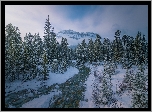 Zima, Góry, Canadian Rockies, Rzeka, Las, Drzewa, Mgła, Park Narodowy Banff, Alberta, Kanada