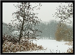Zima, Trawy, Drzewa, Park Sołacki, Poznań