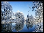 Zima, Drzewa, Szron, Rzeka