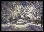 Zima, Park, Wieczór, Ławki