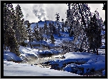 Stany Zjednoczone, Stan Wyoming,  Park Narodowy Yellowstone, Rzeka Firehole River, Zima, Drzewa