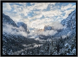 Stany Zjednoczone, Stan Kalifornia, Park Narodowy Yosemite, Góry, Drzewa