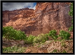 Kanion De Chelly, Strumień, Drzewa, Skały, Arizona, Stany Zjednoczone