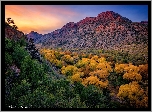 Jesień, Kolorowe, Drzewa, Góry, Kanion Sycamore, Arizona, Stany Zjednoczone