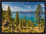 Stany Zjednoczone, Stan Newada, Jezioro Tahoe, Wzgórza, Drzewa