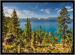 Stany Zjednoczone, Stan Newada, Jezioro Tahoe, Wzgórza, Drzewa
