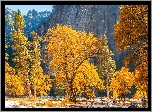 Jesień, Park Narodowy Yosemite, Góry, Drzewa, Stan Kalifornia, Stany Zjednoczone