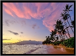 Morze, Plaża, Palmy, Wybrzeże, Hawaje, Maui, Stany Zjednoczone
