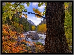 Rzeka, Wenetchee River, Jesień, Drzewa, Stan Waszyngton, Stany Zjednoczone
