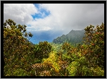Stany Zjednoczone, Hawaje, Wyspa Kauai, Wzgórza, Chmury, Roślinność