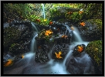 Stany Zjednoczone, Stan Oregon, Rezerwat przyrody Columbia River Gorge, Wodospad Dry Creek Falls, Strumień, Jesień, Liście, Las, Kamienie, Mech, Roślinność