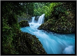 Stany Zjednoczone, Stan Waszyngton, Hrabstwo Skamania, Rezerwat przyrody Columbia River Gorge, Las, Rzeka Little White Salmon River,  Wodospad Spirit Falls