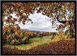 Jesień, Żółte, Drzewa, Liście, Łąka