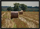 Zżęte, Zboże, Pole, Bale, Lato