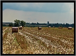 Zżęte, Zboże, Pole, Lato