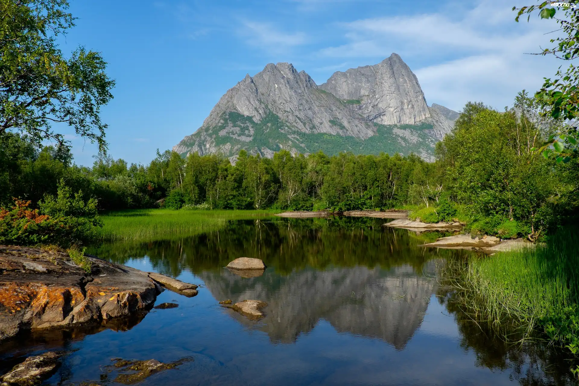 Norwegia, OkrÄ™g Nordland, Góry Strandåtinden, Rzeka Strandåga, Drzewa
