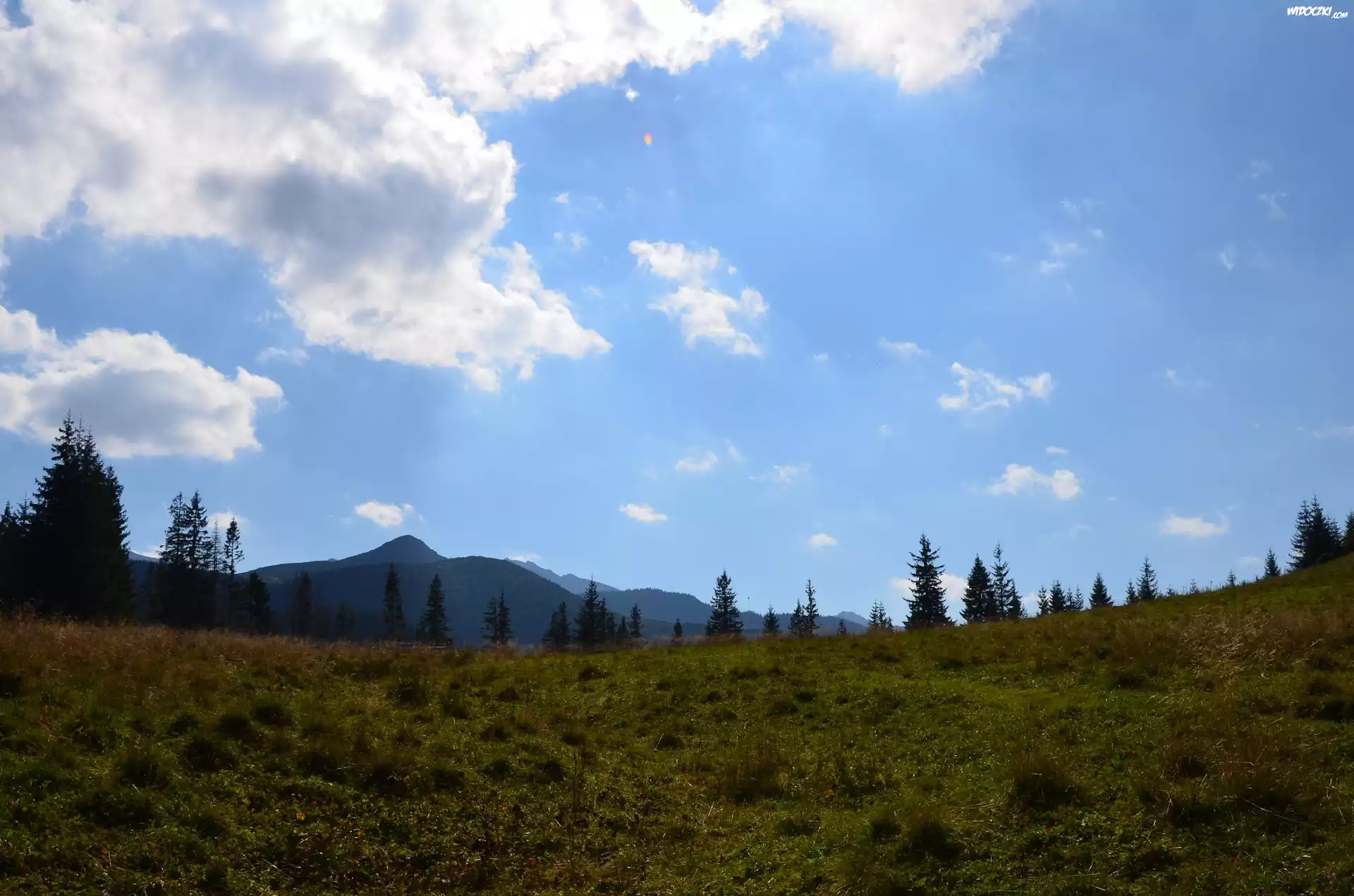 2560 Łąka, Zakopane, Niebo