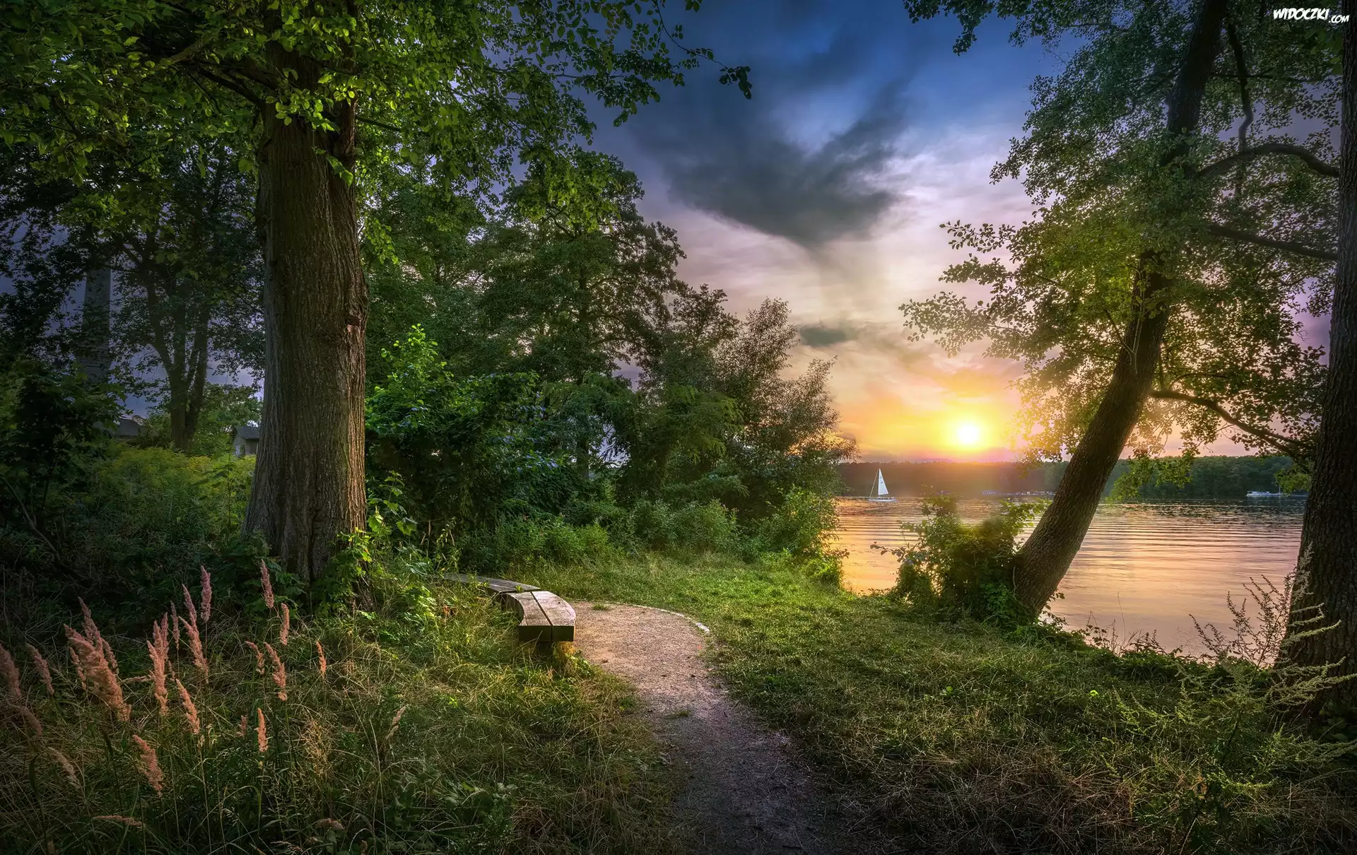 Park, Jezioro, Drzewa, Ławka, Ścieżka, Wschód słońca, Chmury, Żaglówka