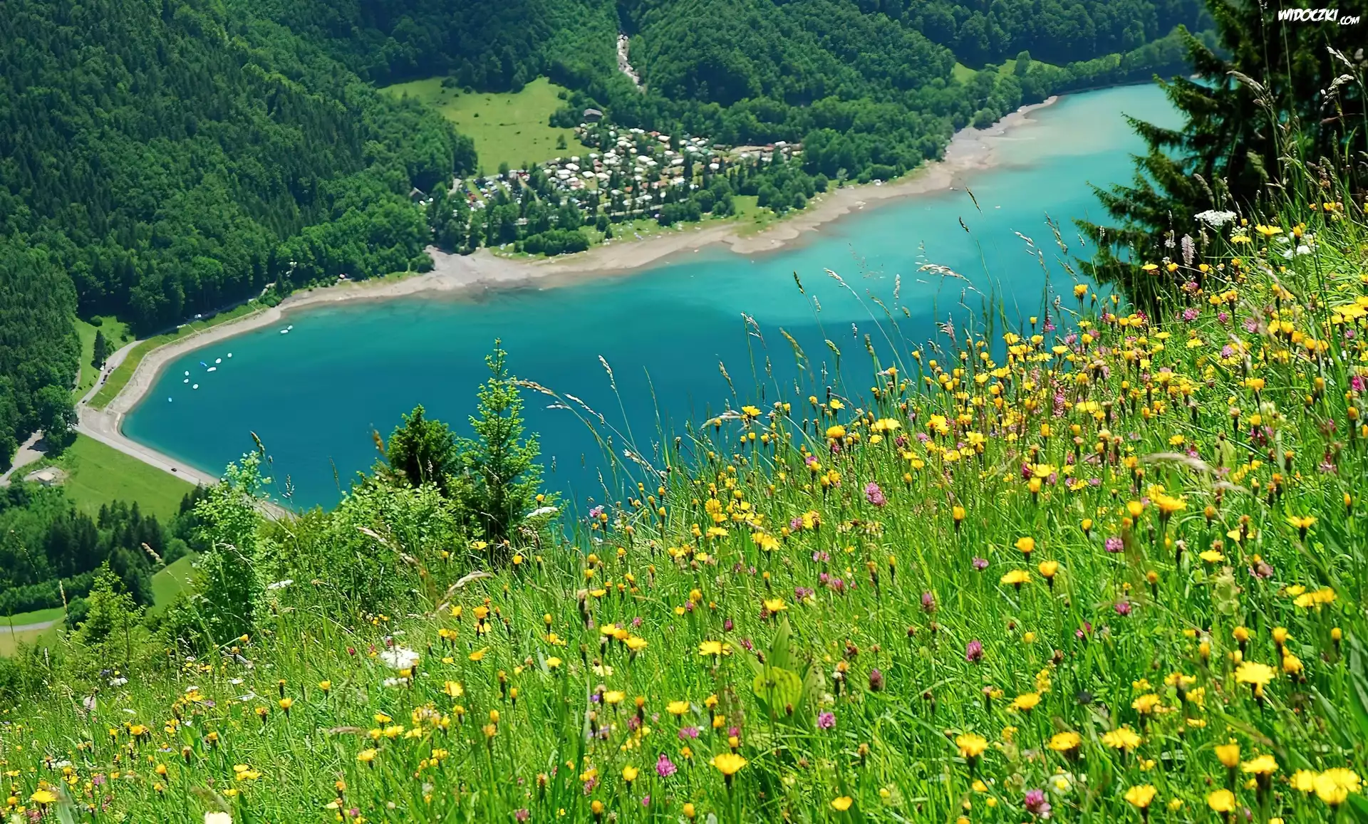 Łąka, Jezioro, Zalesione, Góry, Glarus, Szwajcaria