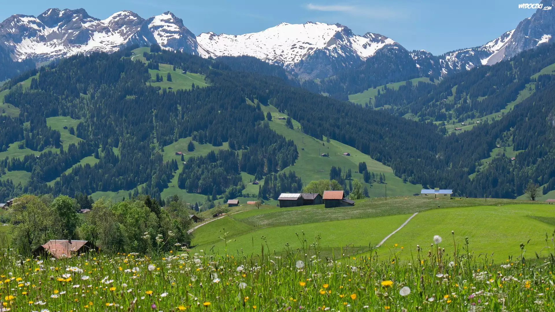 Domy, Dolina, Łąka, Alpy, Góry, Alpy, Oberland Berneński, Kanton Berno, Szwajcaria