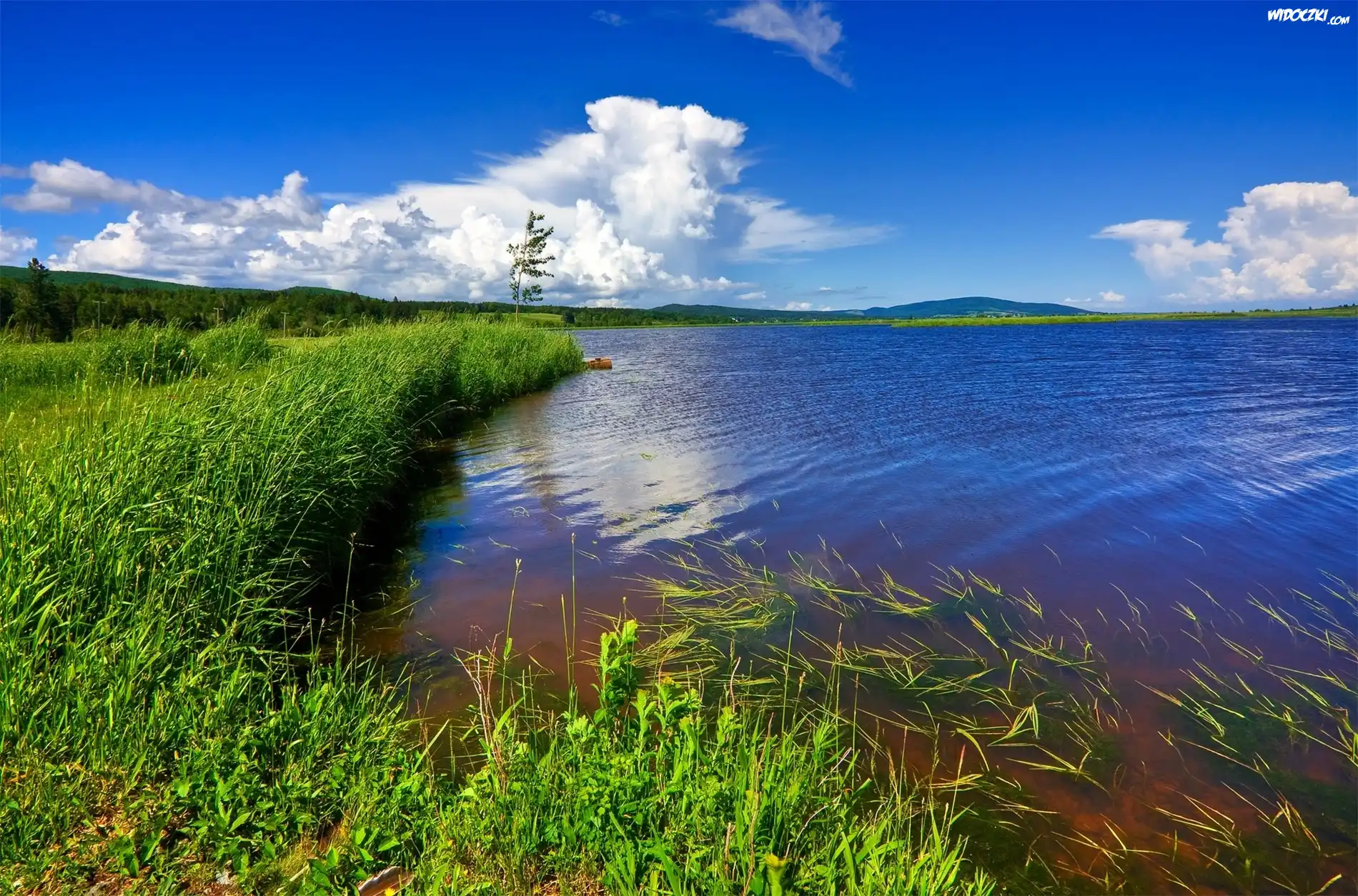 Jezioro, Łąka ,Chmury