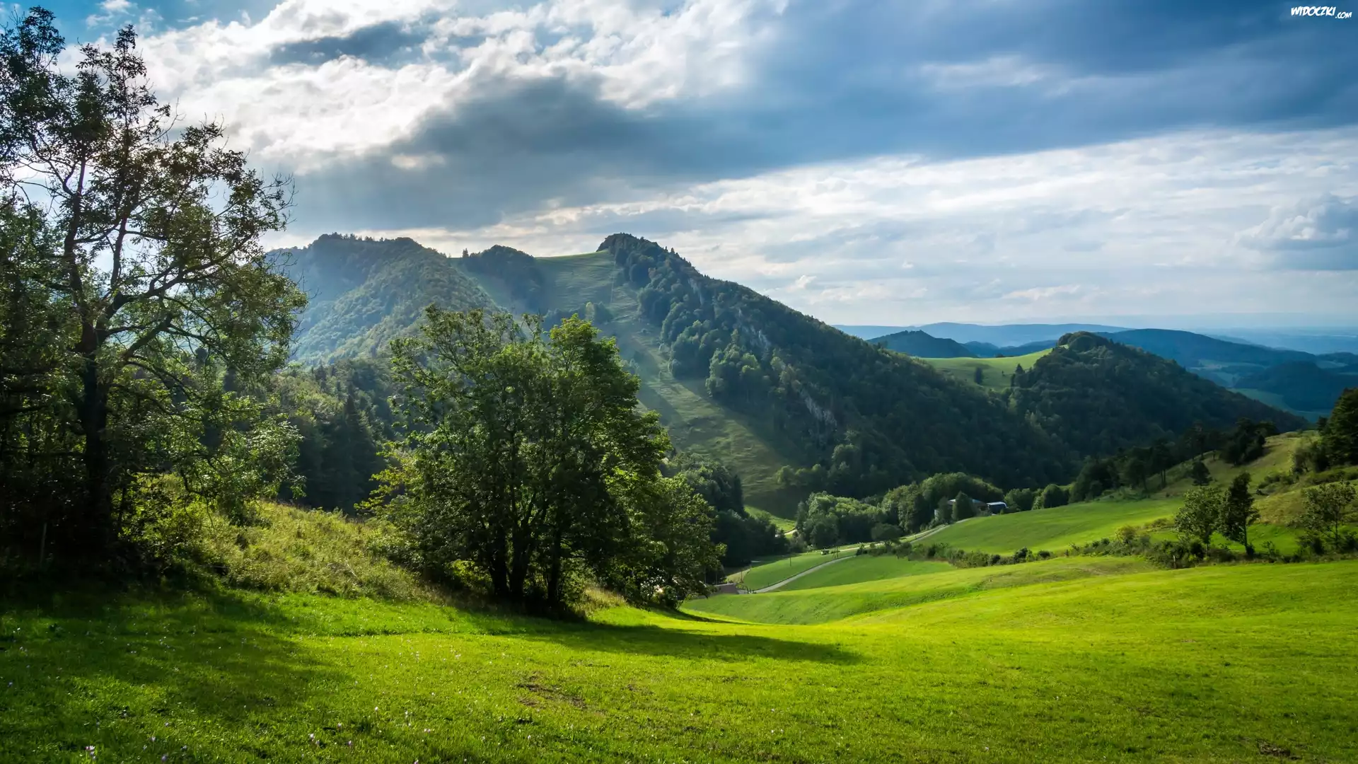 Góry, Łąki, Drzewa