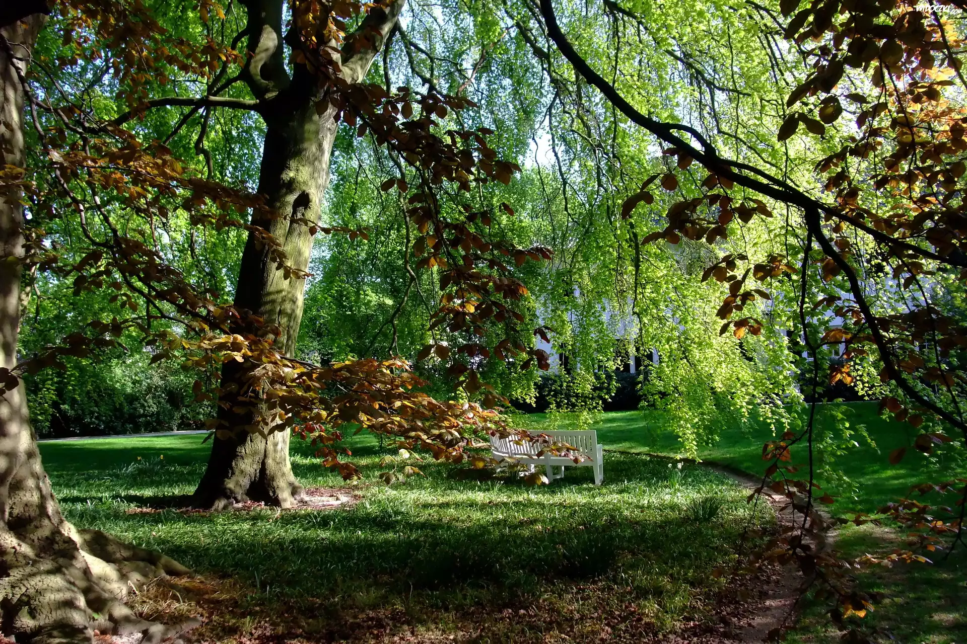 Park, Alejka, Ławka