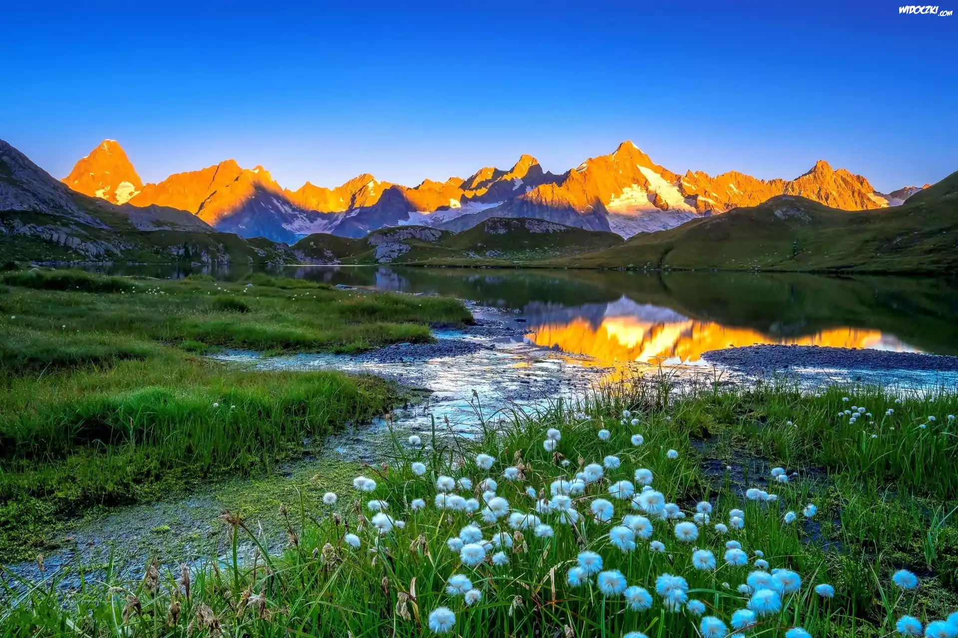 Alpy Graickie, Mont Blanc, Jezioro, Łąka
