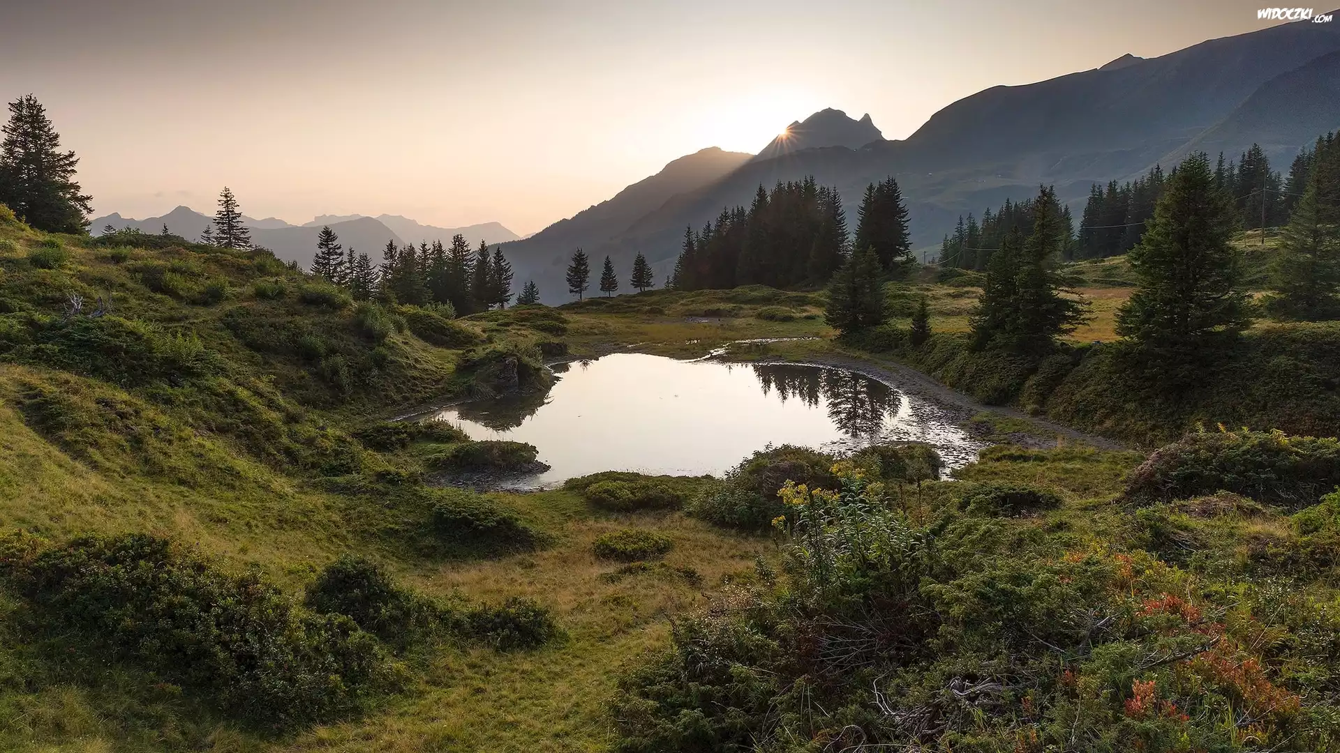 Szwajcaria, Góry Alpy Berneńskie, Przełęcz Grosse Scheidegg, Jezioro, Drzewa, Rośliny, Słońce