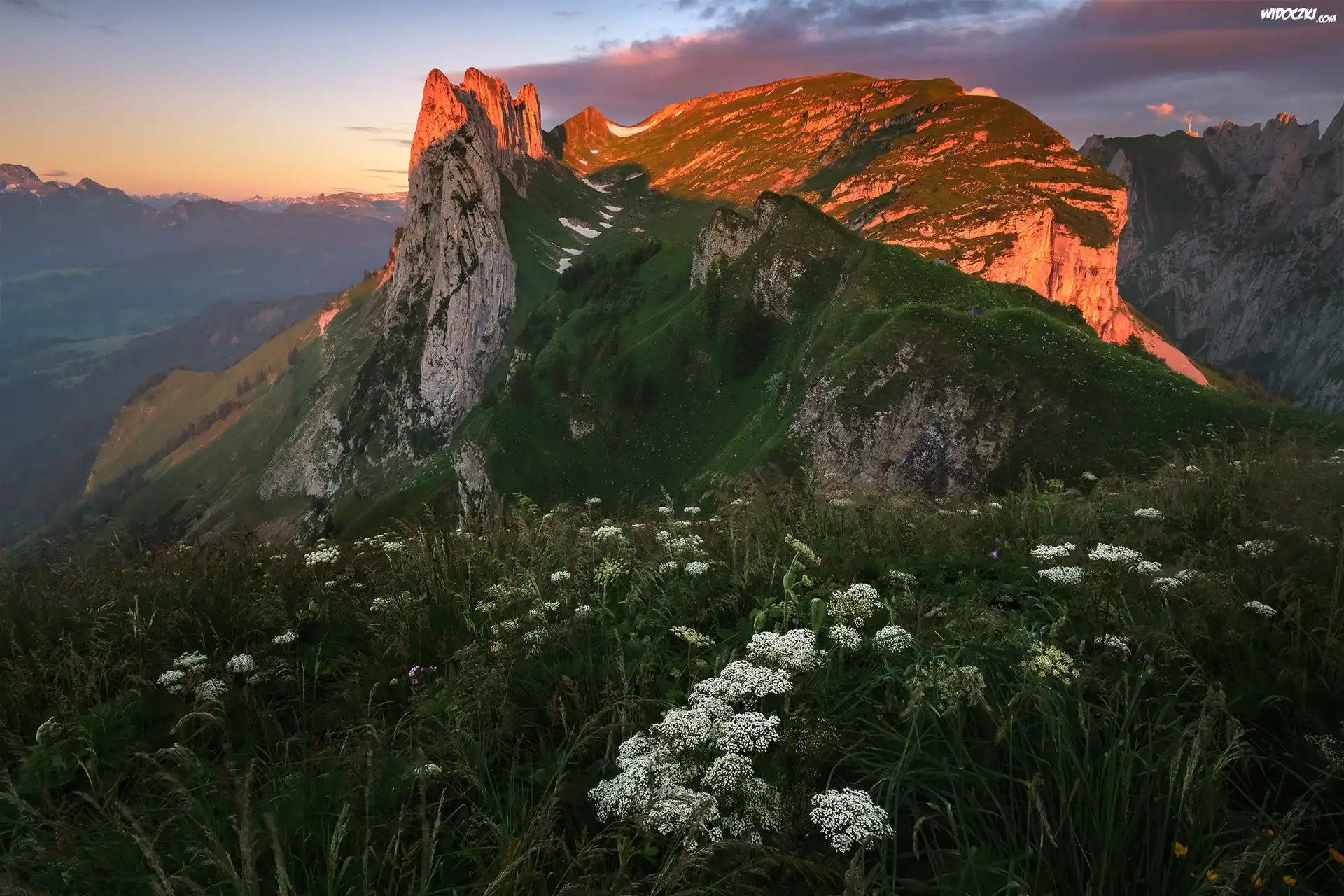 Góry, Alpy, Appenzeller Alpen, Rozświetlony, Szczyt, Łąka, Szwajcaria