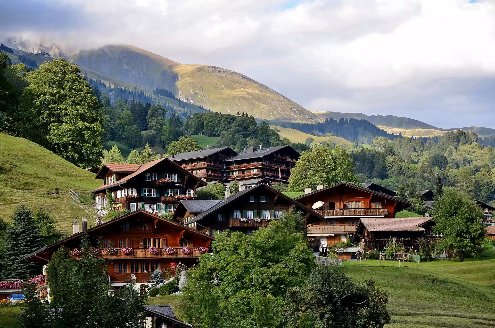 Alpy, Lasy, Łąki, Wioska, Grindelwald