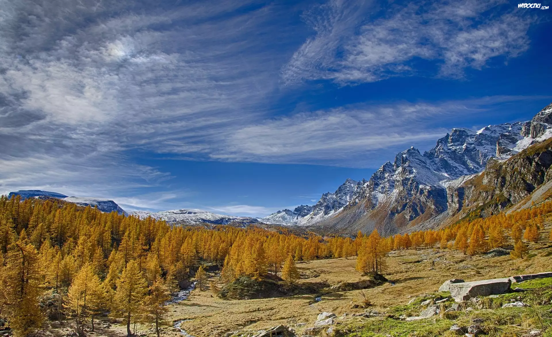 Włochy, Region Piemont, Góry Alpy, Dolina Val Buscagna, Ośrodek narciarski Alpe Devero, Jesień, Drzewa