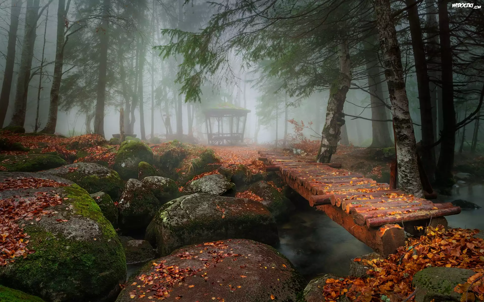 Park, Las, Rzeka, Omszałe, Kamienie, Kładka, Liście, Mgła, Altanka