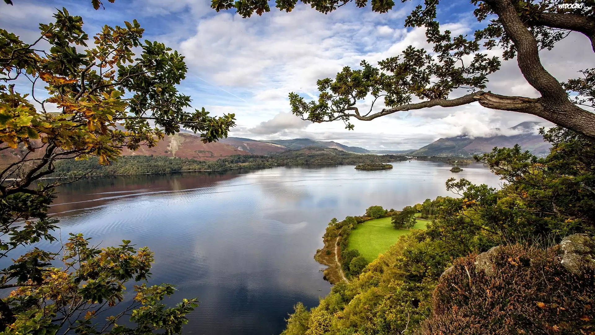 Anglia, Jezioro Derwentwater, Drzewa, Góry