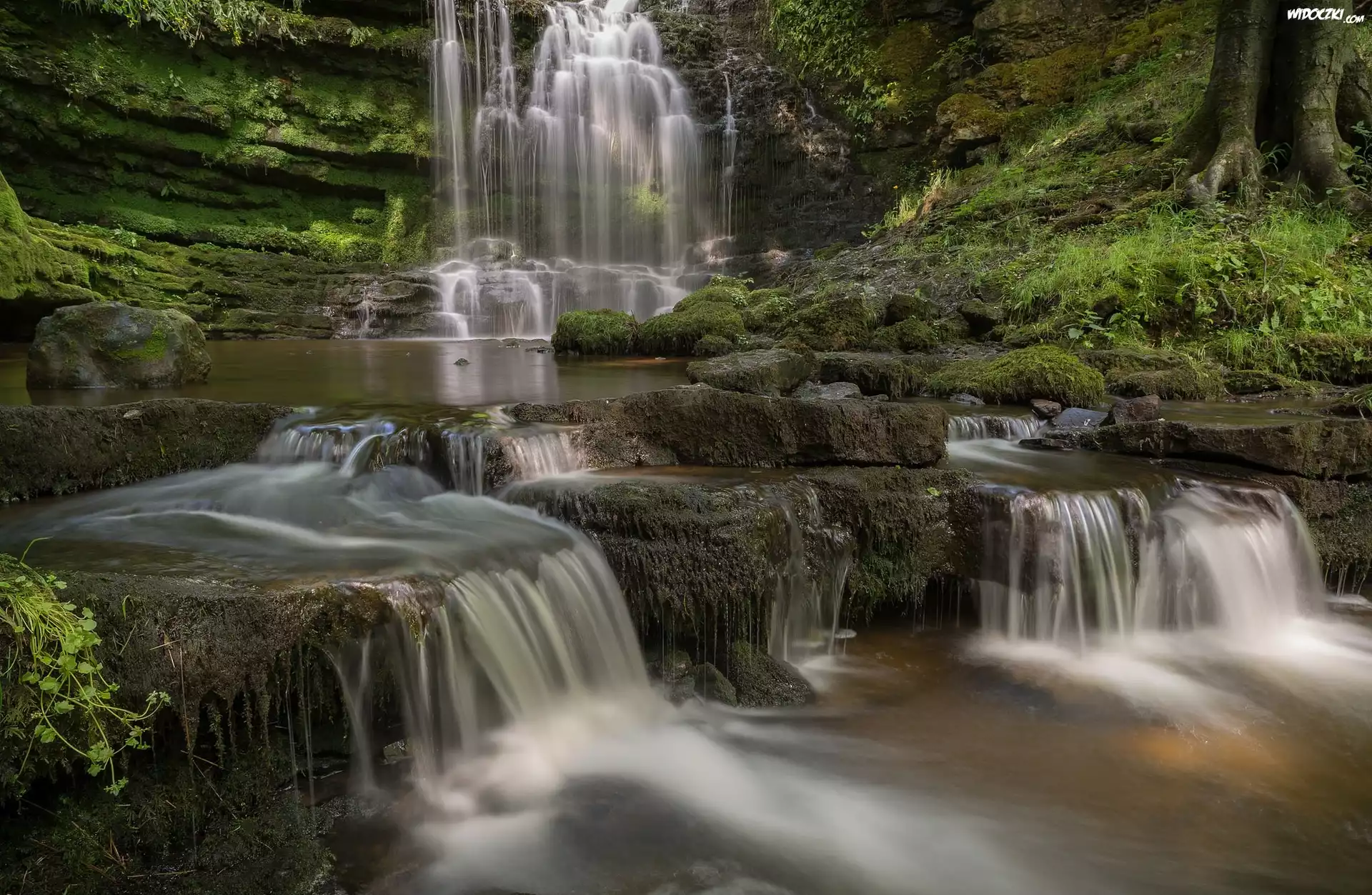 Anglia, Hrabstwo North Yorkshire, Park Narodowy Yorkshire Dales, Wodospad Scaleber Force, Omszałe, Skały, Kamienie, Rośliny