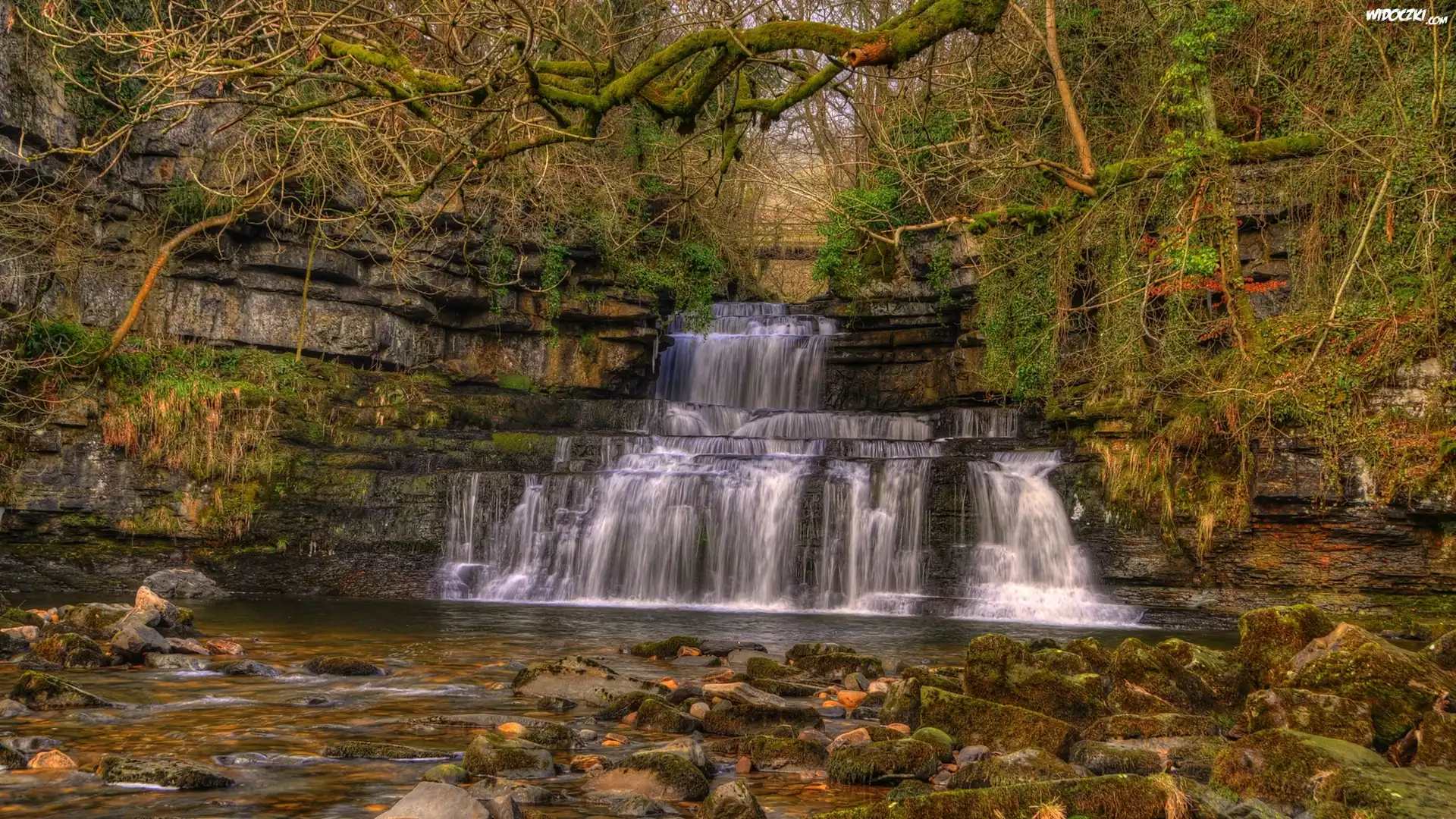 Anglia, Park Narodowy Yorkshire Dales, Wodospad Cotter Force, Rzeka Cotterdale Beck, Skały, Omszałe, Kamienie, Gałęzie
