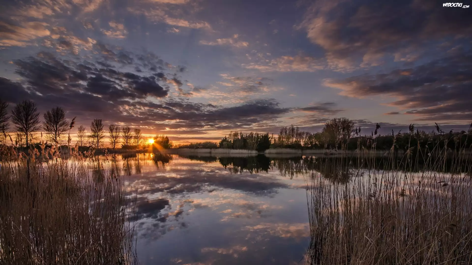 Anglia, Maidstone, Rzeka Medway, Drzewa, Trawy, Zachód słońca Anglia