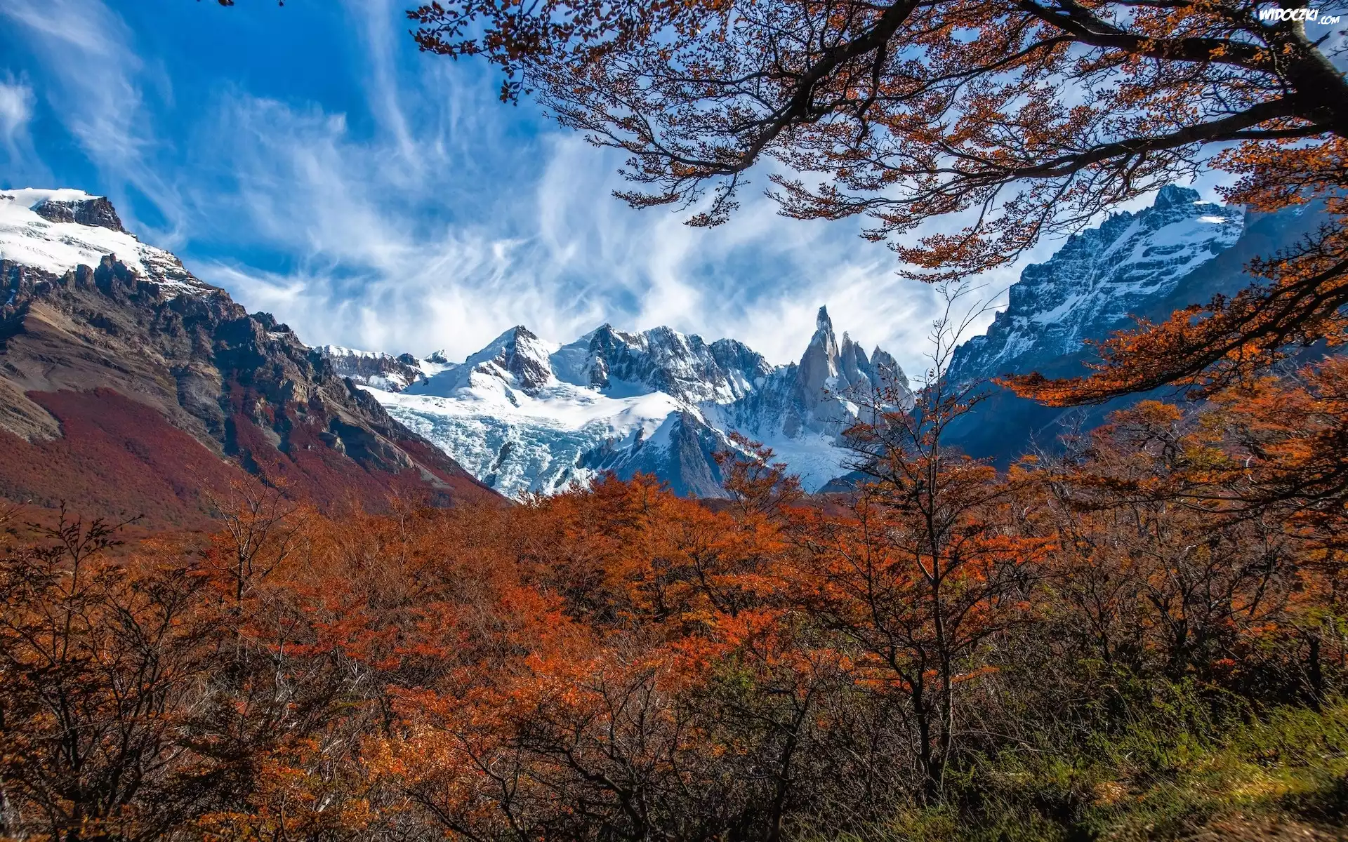 Argentyna, Patagonia, El Chalten, Góry, Mount Fitz Roy, Jesień, Drzewa