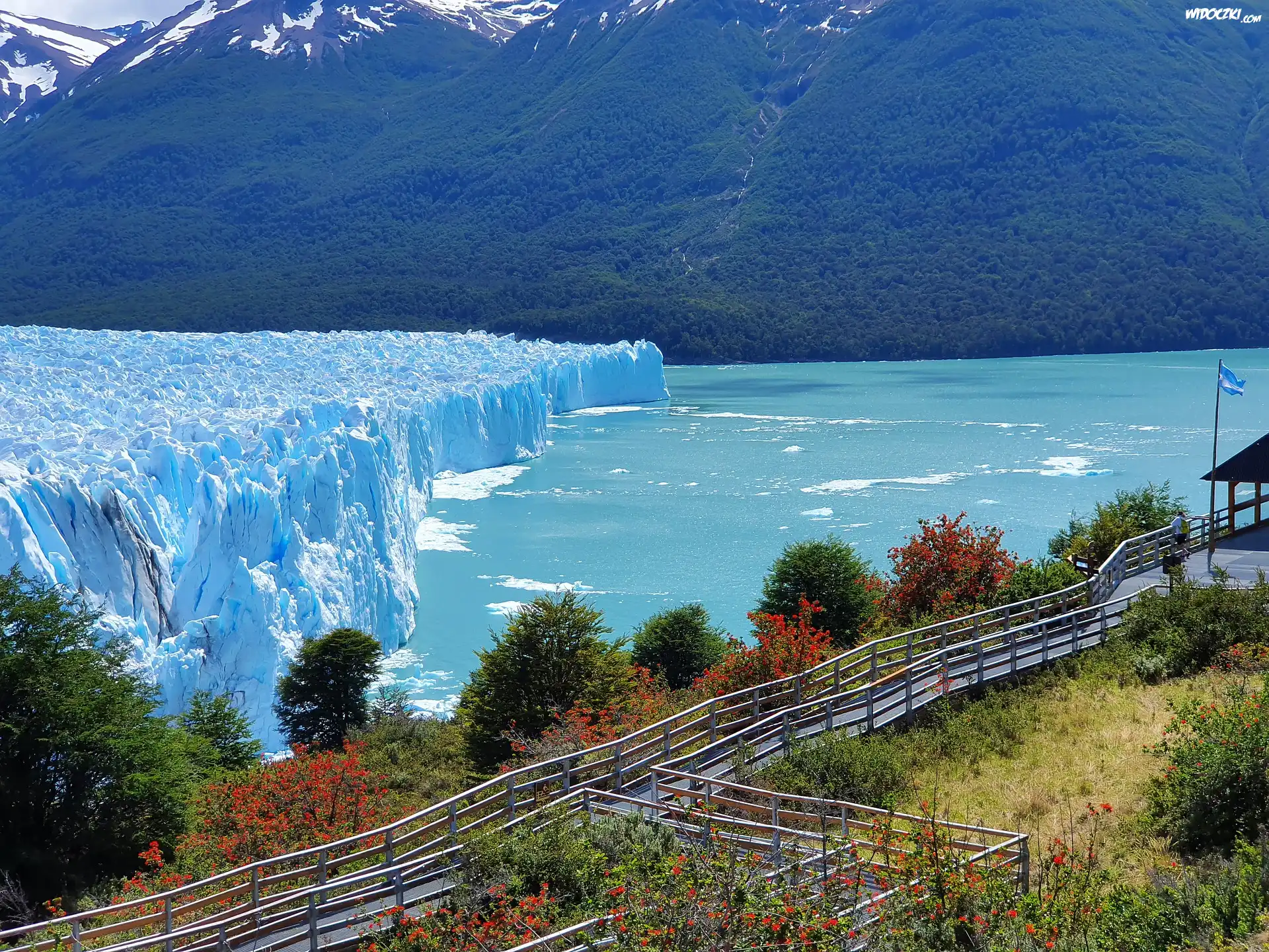 Lodowiec, Perito Moreno, Park Narodowy Los Glaciares, Argentyna
