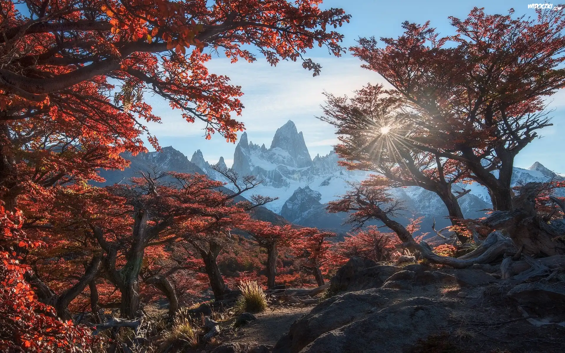 Argentyna, Park Narodowy Los Glaciares, Góry, Patagonia, Szczyt Fitz Roy, Jesień, Drzewa, Jesień, Promienie słońca