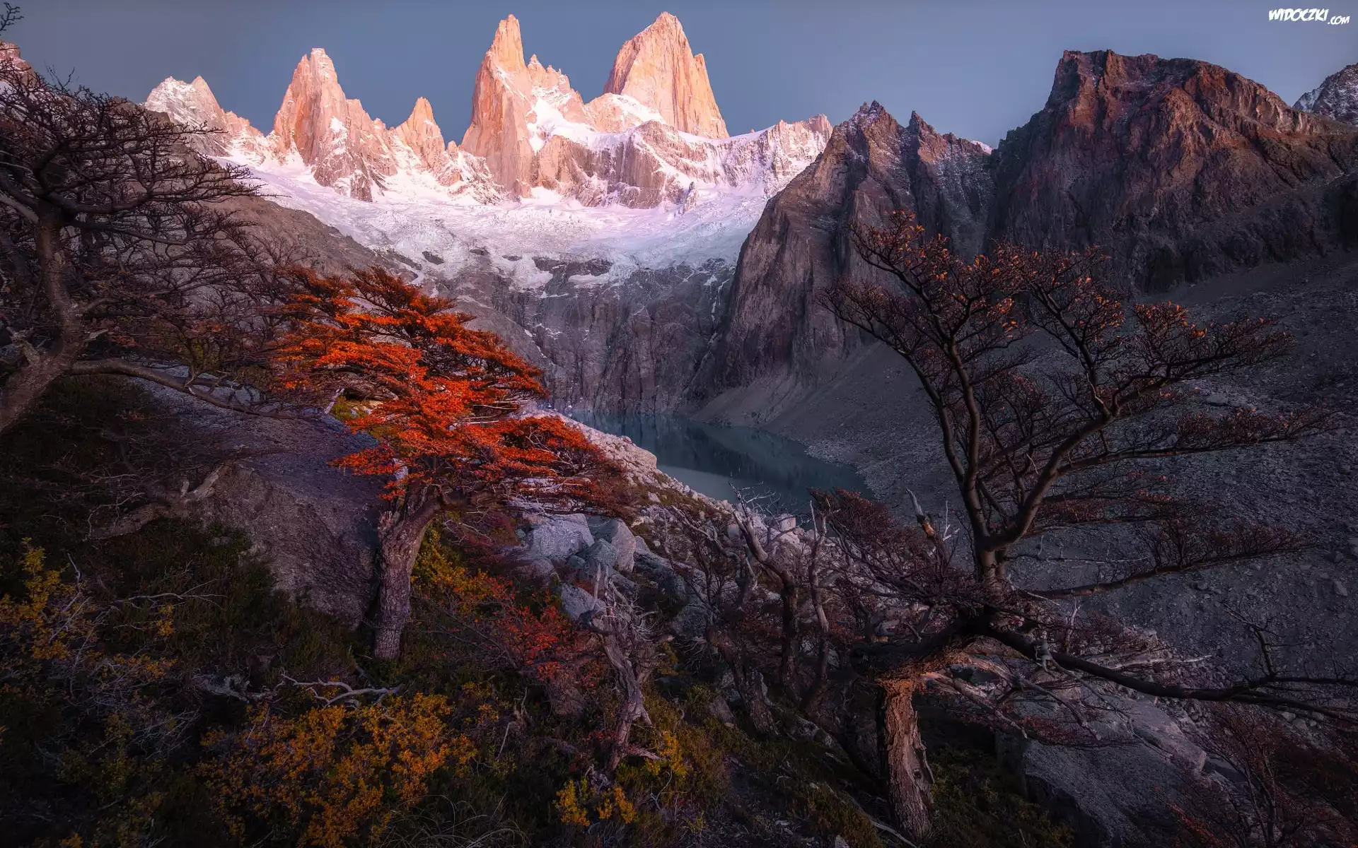 Argentyna, Patagonia, Ośnieżone, Góry, Szczyt Fitz Roy, Jezioro, Drzewa