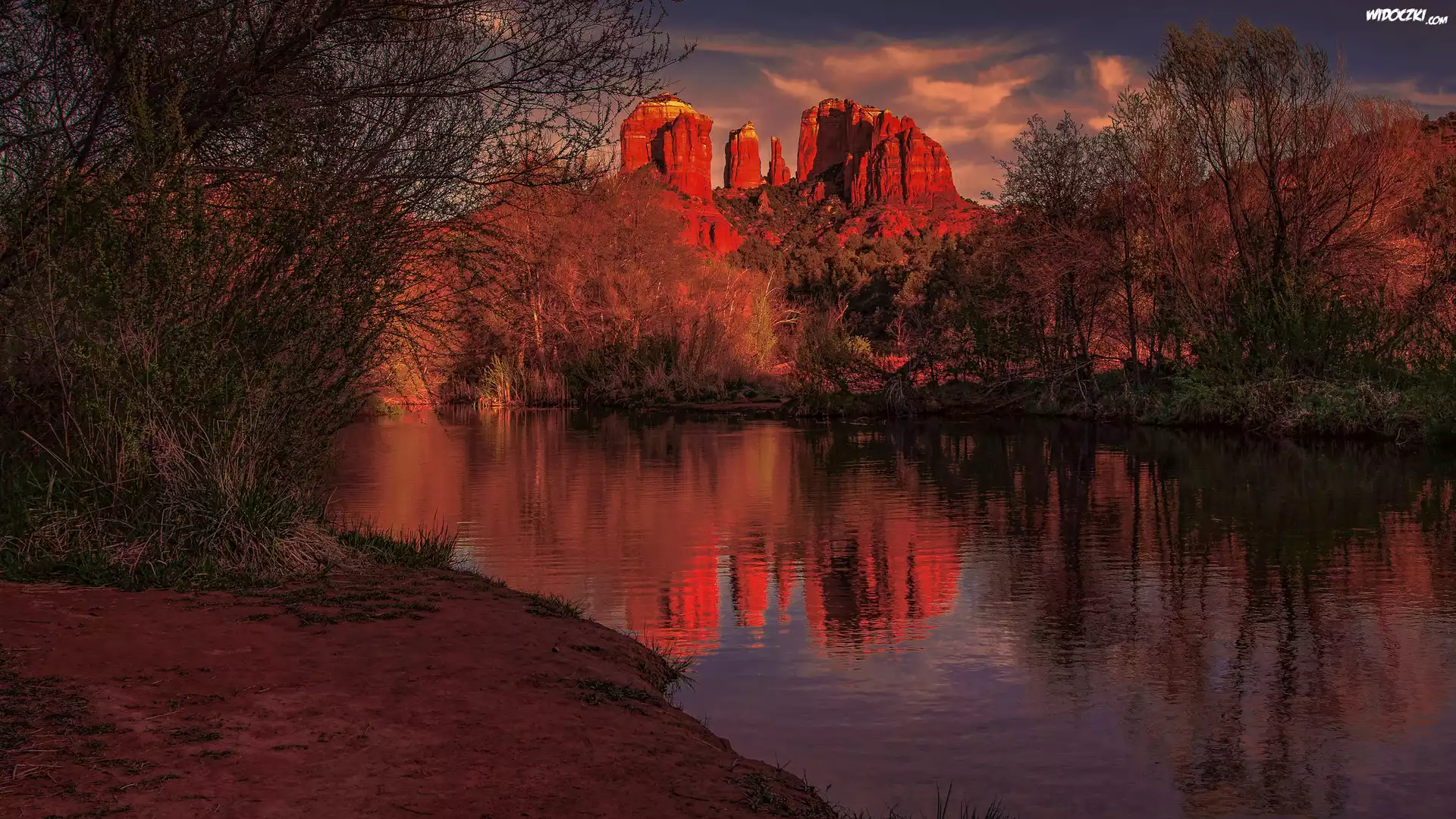 Góry, Czerwone, Skały, Cathedral Rock, Rzeka, Drzewa, Odbicie, Sedona, Arizona, Stany Zjednoczone