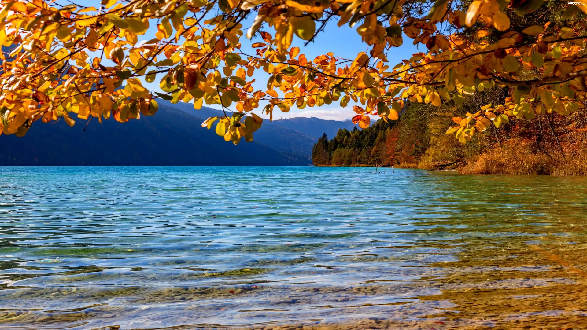 Jezioro Weissensee, Gałęzie, Liście, Drzewa, Góry, Alpy Gailtalskie, Jesień, Austria
