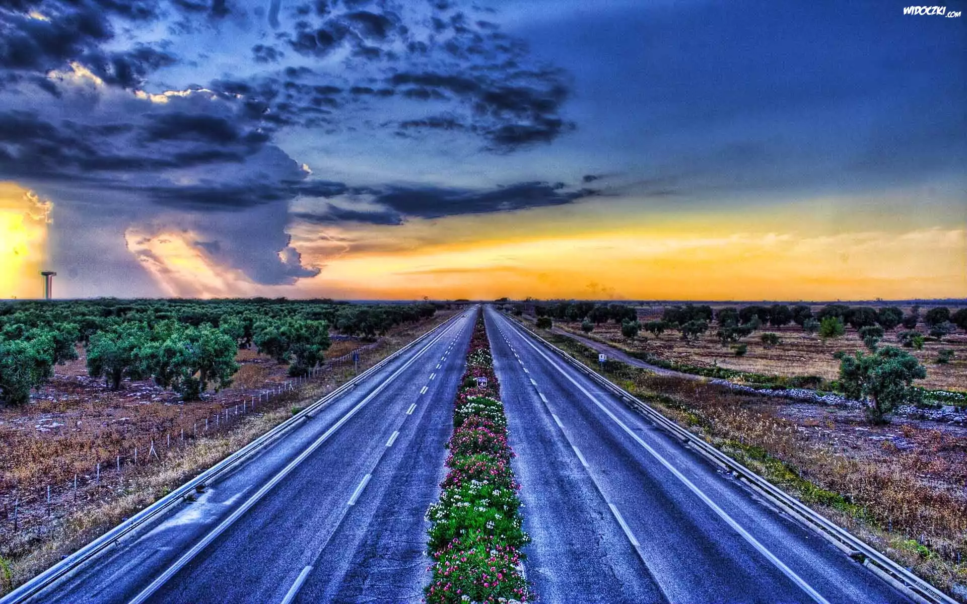 Autostrada, Kwiaty, Zachmurzone, Niebo