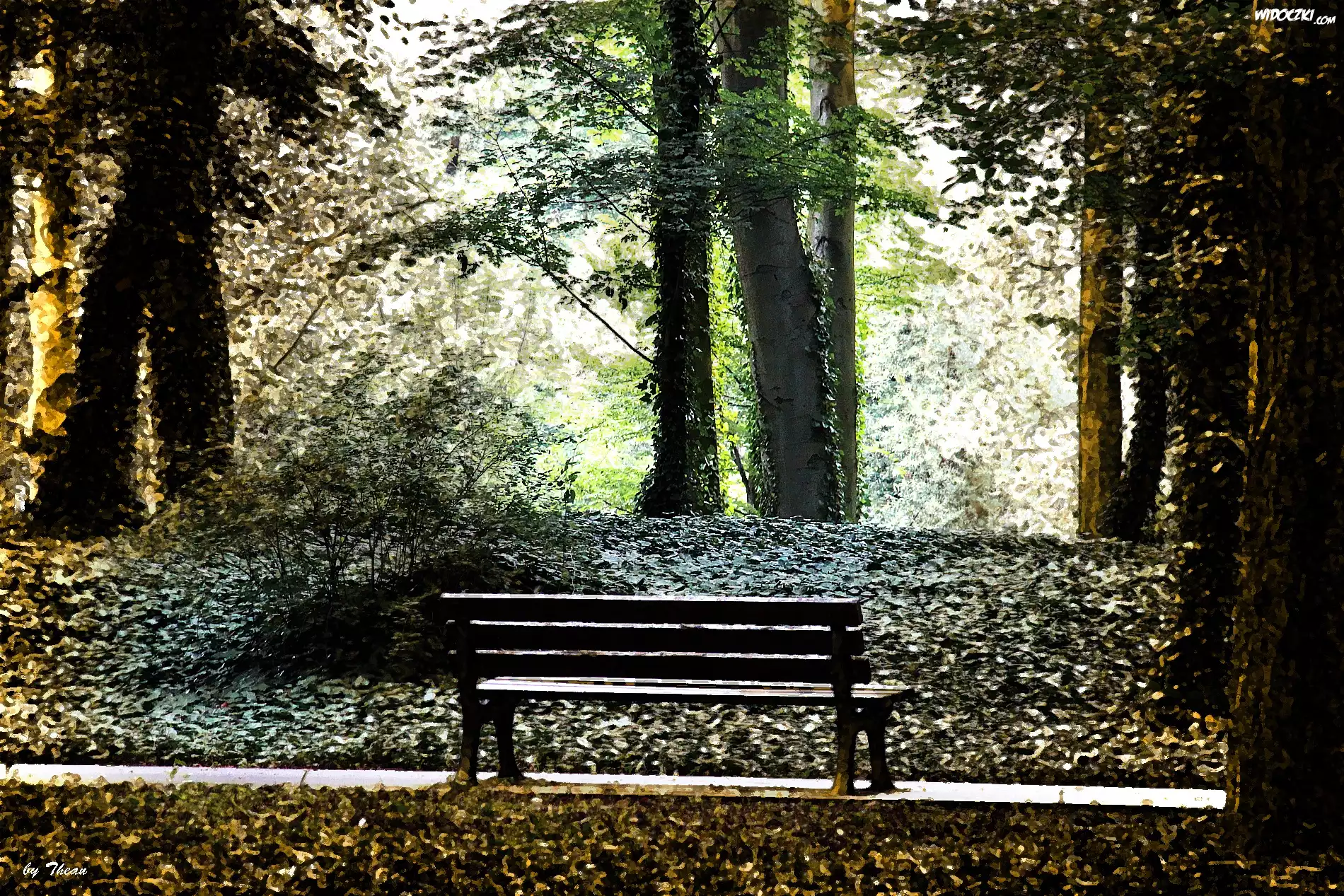 Park, Ławka, Drzewa