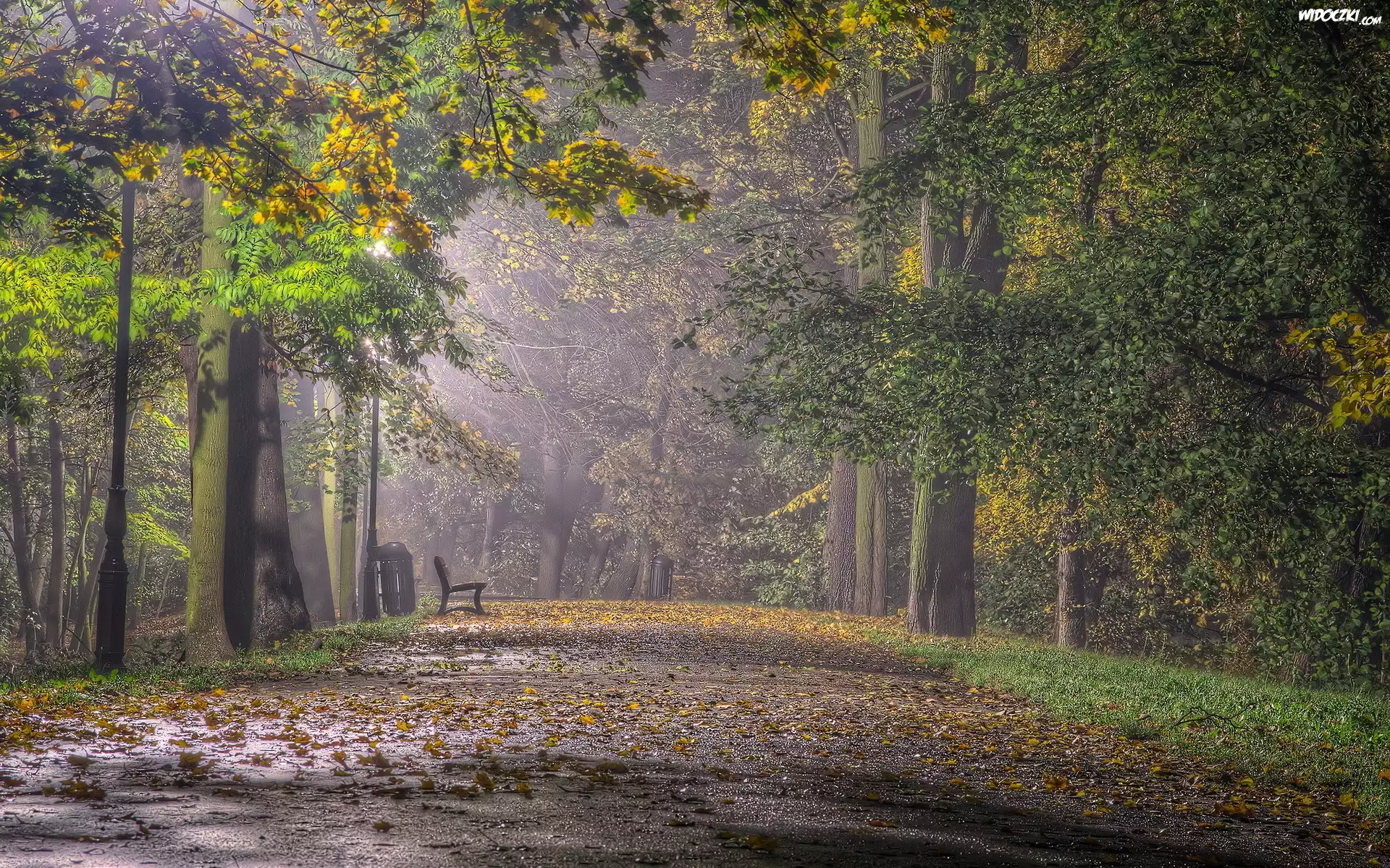 Park, Ławka, Liście, Przebijające, Światło, Mgła, Jesień